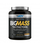 Bigjoy BigMass +Gh Factor Çikolata